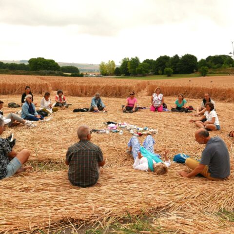 Crop circles experience Oasis