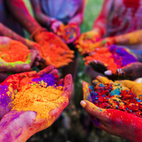 Inde du Nord Holi Festival couleurs Oasis