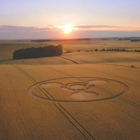 Crop Circles Angleterre Oasis