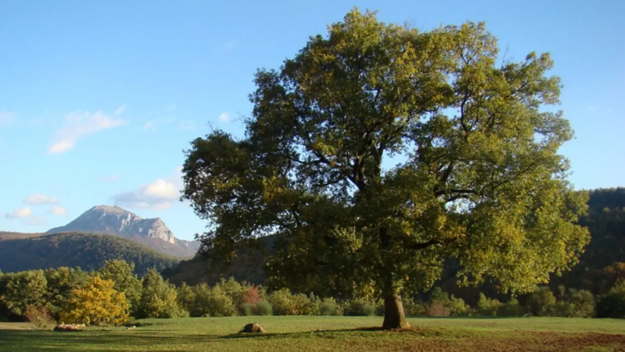 LAVALDIEU Pays Cathare France Oasis