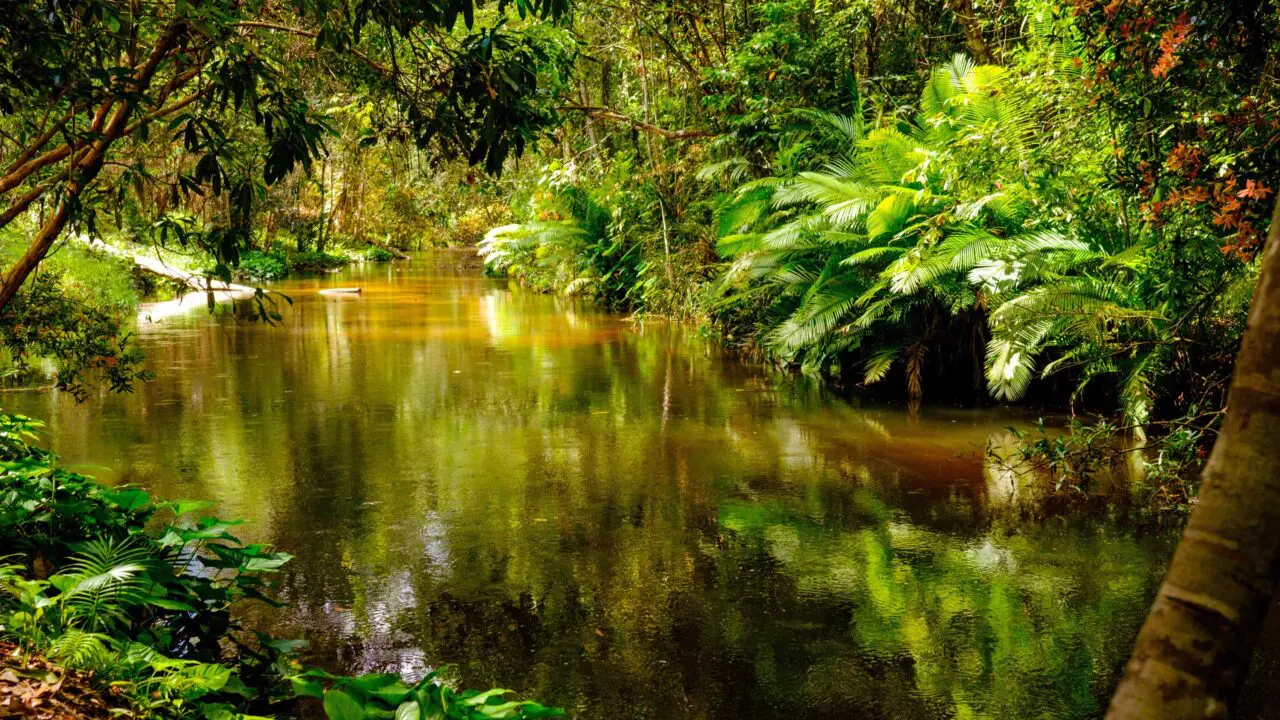 Cambodge rivière mille Lingas