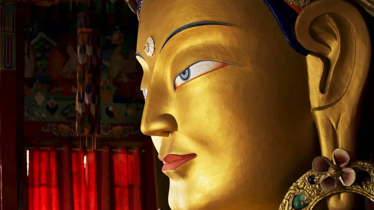 Tibet Maitreya
