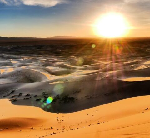 Gobi Mongolie