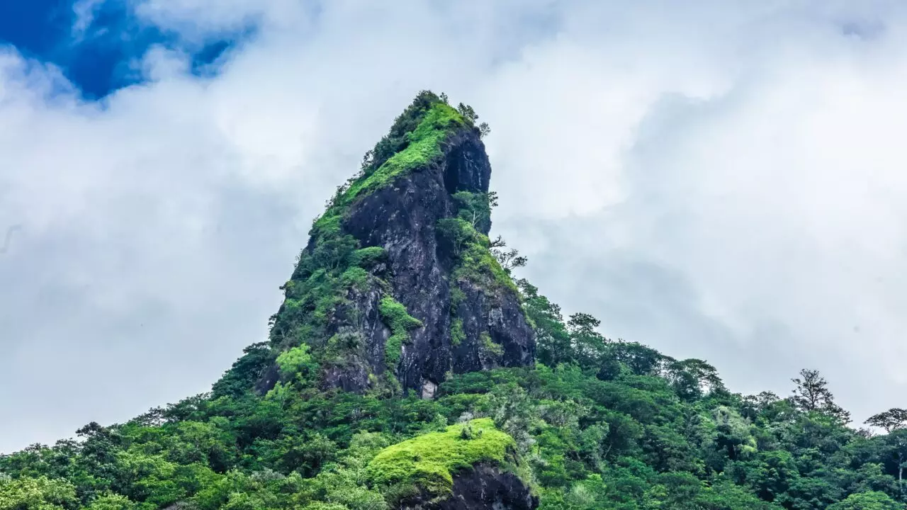 montagne vallée Papenoo Polynésie